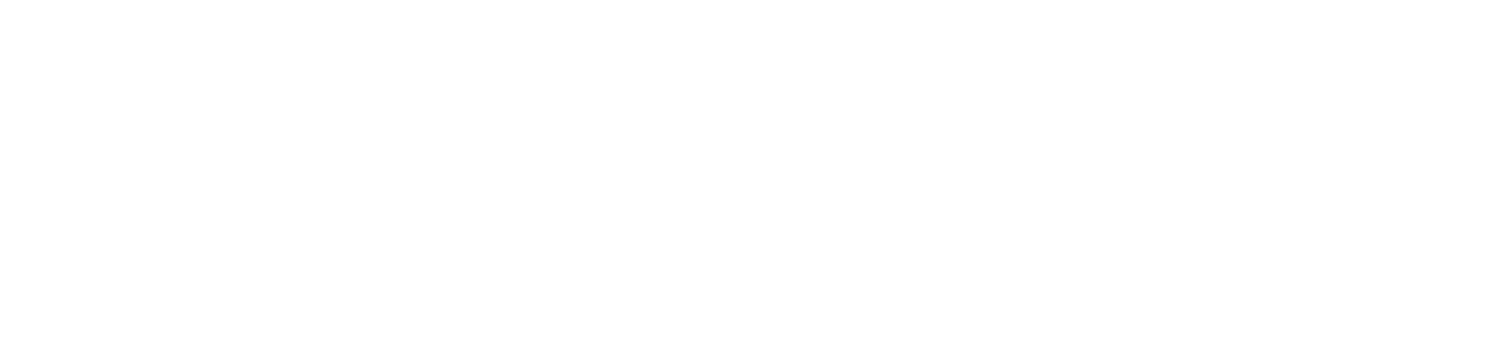 Weslley Rodrigues Logo